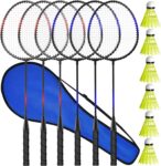Badminton Rackets Set of 2 4 6 for Adults Kids,Beach Lawn Backyard Game Outdoor Sports,Racquets,Shuttlecocks & Carry Bag Included